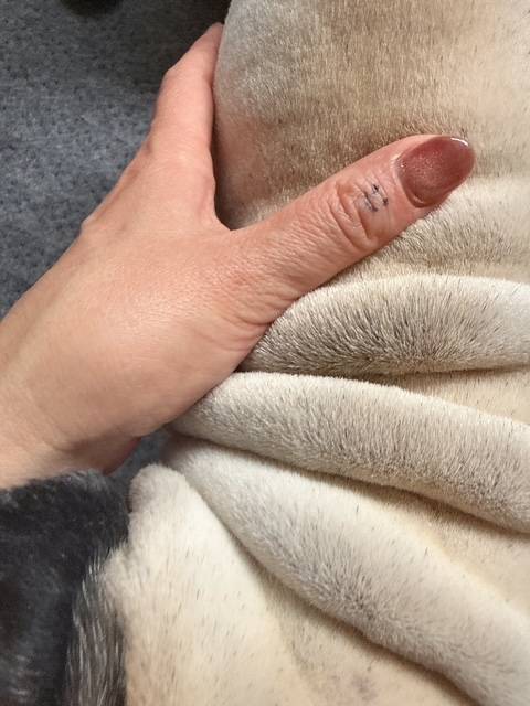 こんにちは