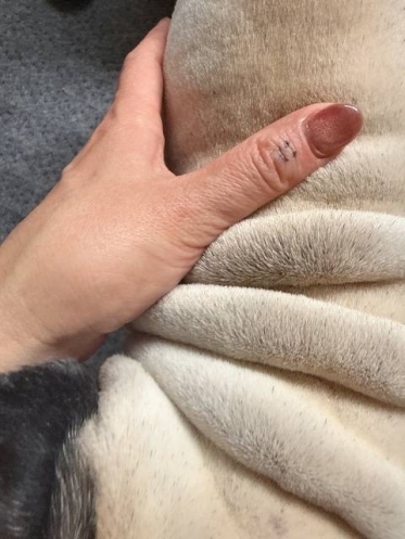 こんにちは