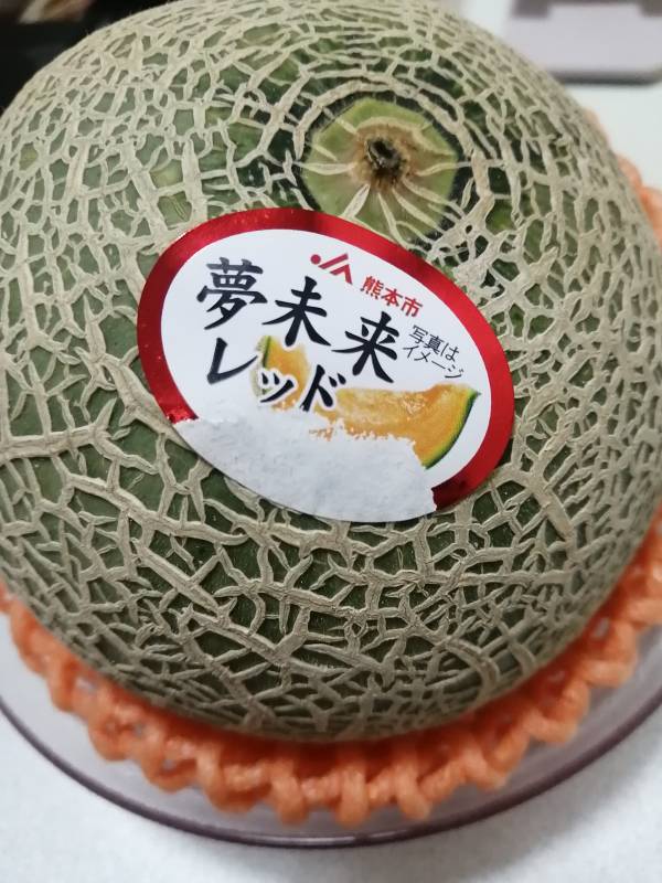 おはようございます