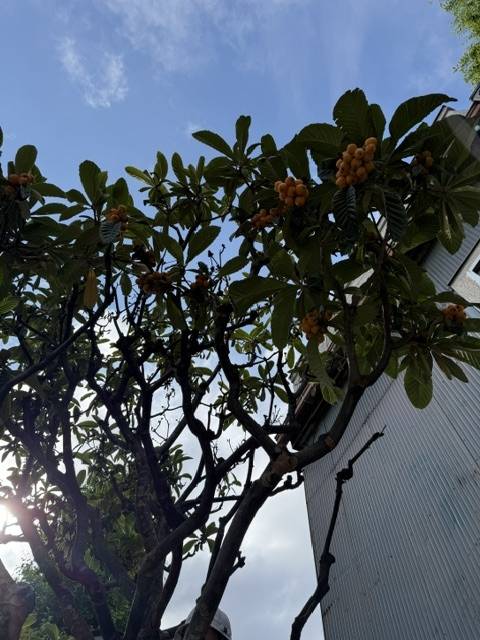 今日もありがとうございます♪