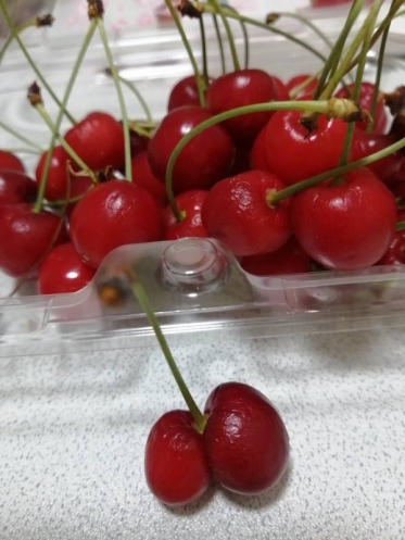 ありがとうございました