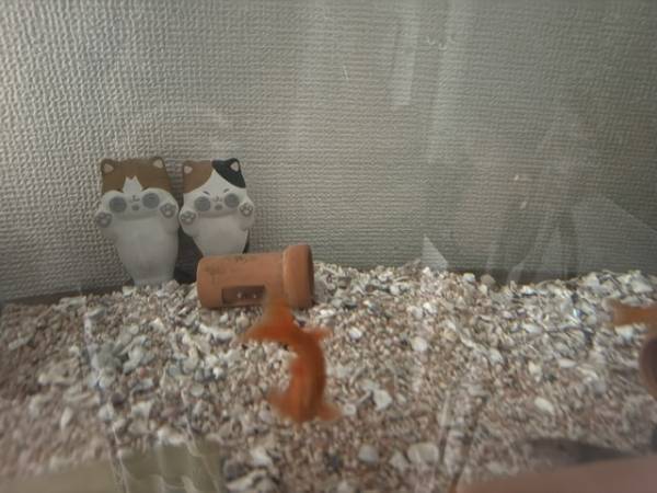 おはようございます
