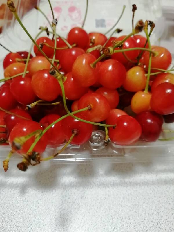 ありがとうございました