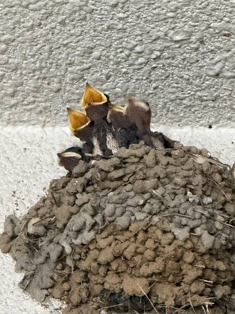 おはようございます☀️
