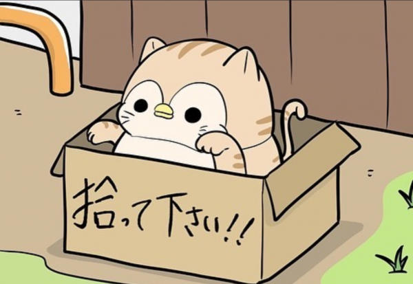 おヒマなんですけど〜(-_-)
