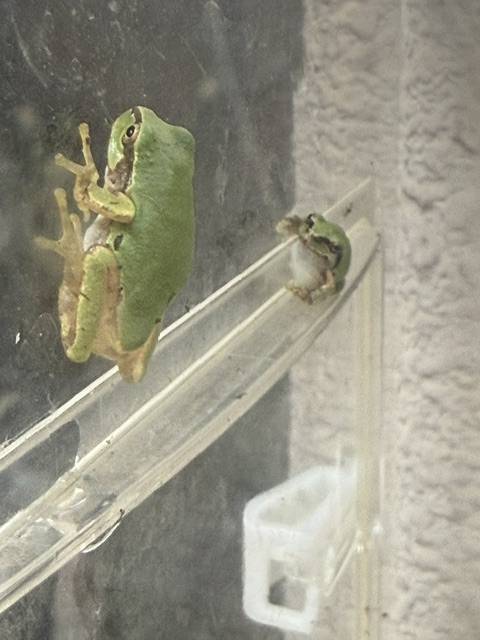 今日も(^^)