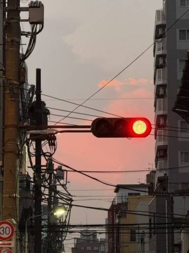 今日もありがとうございますʕ•ᴥ•ʔ