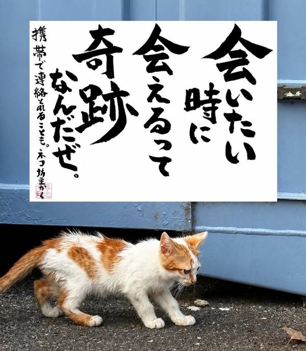 本日出勤でございます！