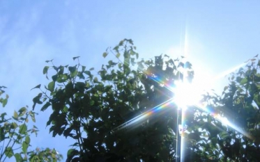 夏だから