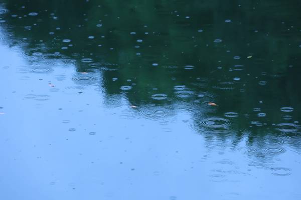 雨か…