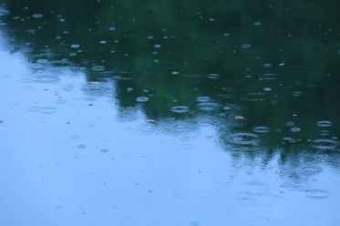 雨か…