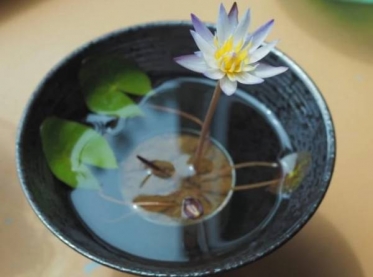 ありがとうございました