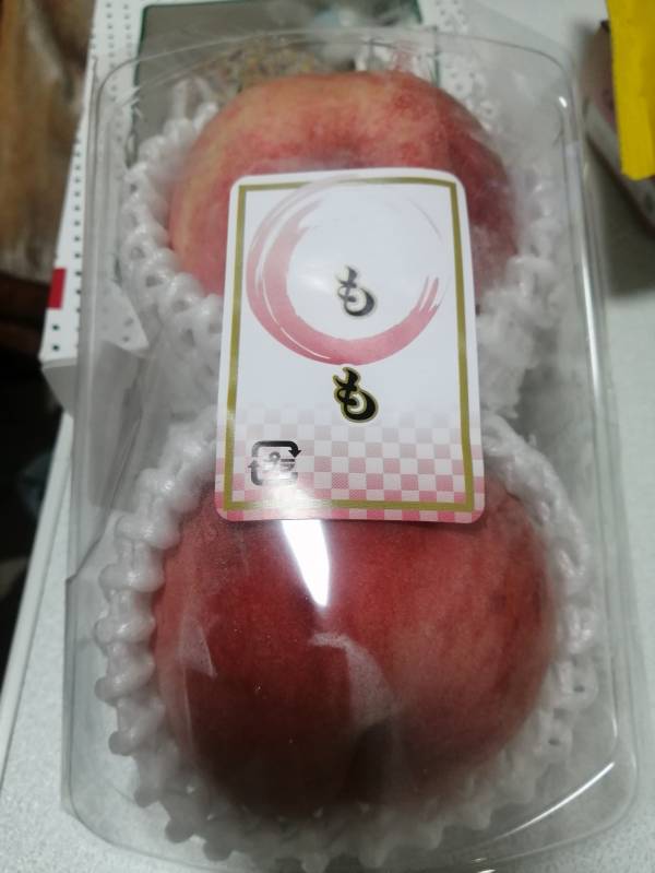 ありがとうございました