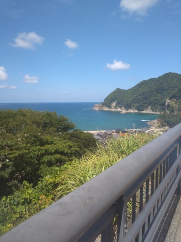 おはようございます🙇