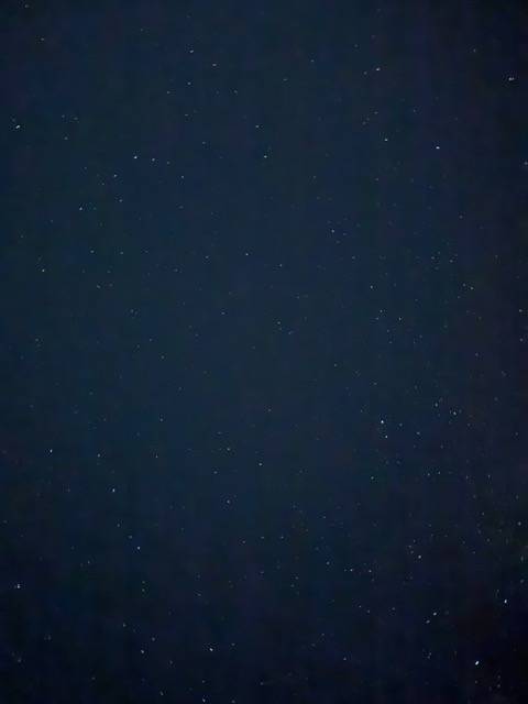 今日も