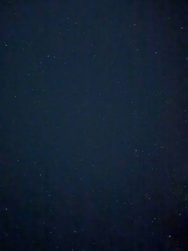 今日も