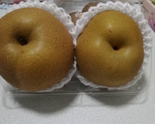 ありがとうございました