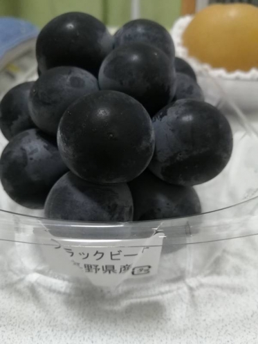 ありがとうございました