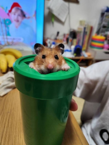 お早うございます