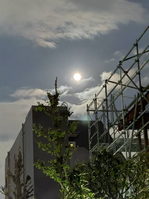 今週も