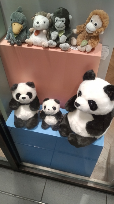 ありがとうございました🙇