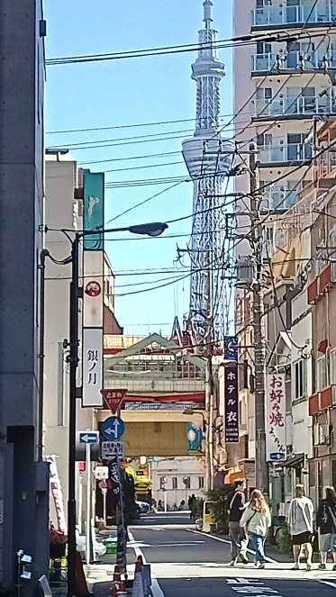 おはようございます🙇