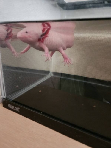 お休み中なんですが…