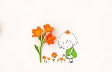 ご提案です！