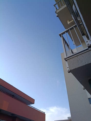 おはようございます😃