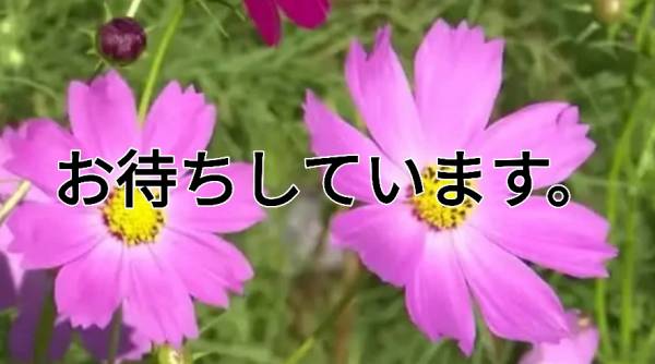 お待ちしています