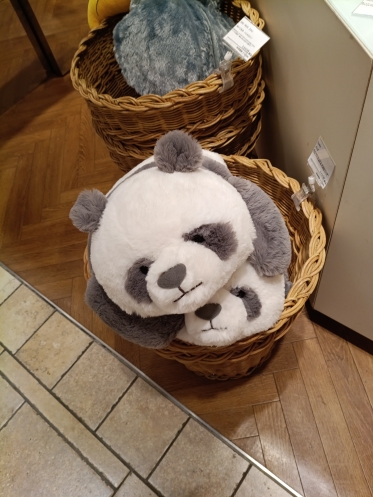 おはようございます😊