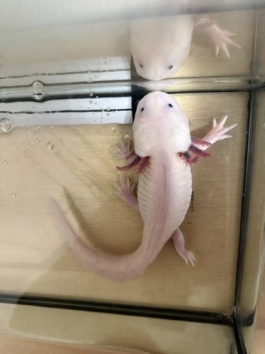 今日も