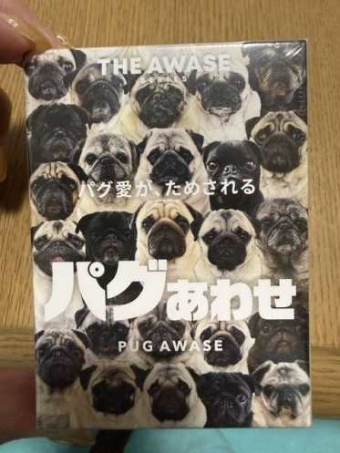 今日も