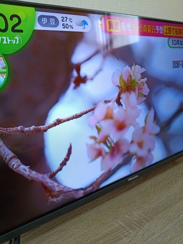 ありがとうございました🙇