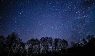 ありがとうございました