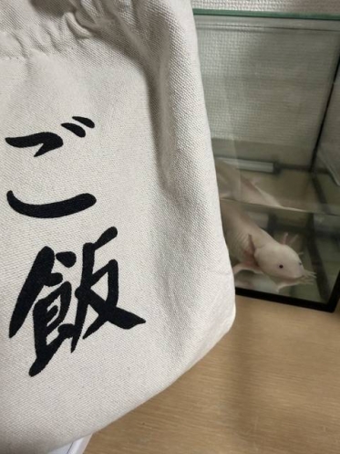 お早うございます