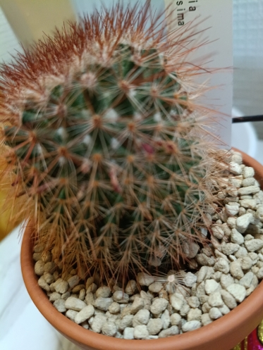 おはようございます😊