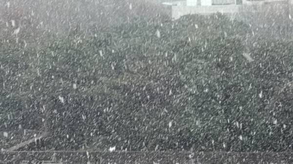 雪❄のひな祭り🎎