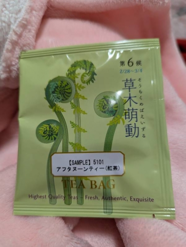 おはようございます(*´∀｀*)