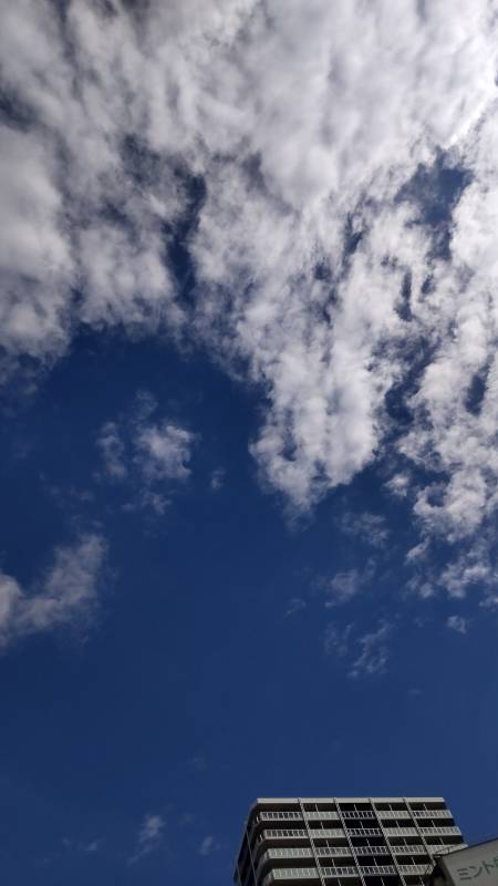 今日は青空