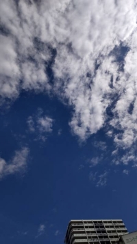 今日は青空