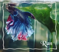 🌈 出勤しました 🌈