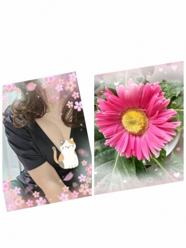 おはようございます🌸