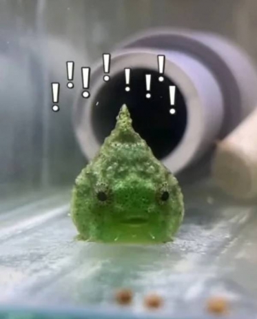 出勤しました😊