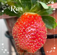 🌈出勤しました🌈
