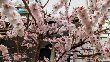 3月31日😲