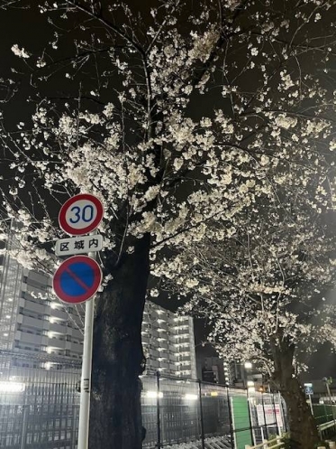年度末
