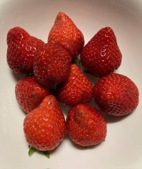 じゅっく熟にしてやんよ！