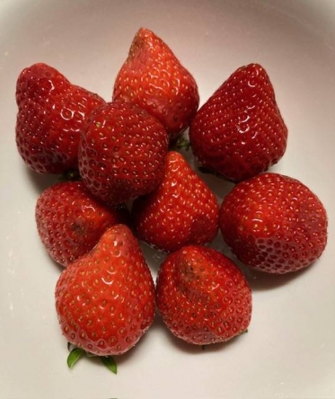 じゅっく熟にしてやんよ！