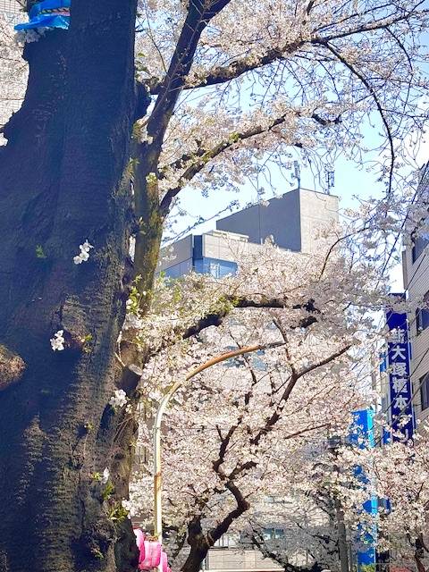 ありがとうございますm(_ _)m